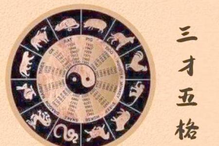 八字姓名免费测试，快速揭示你命运的秘密！