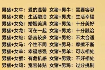 属狗女性与属龙男性的爱情匹配度分析