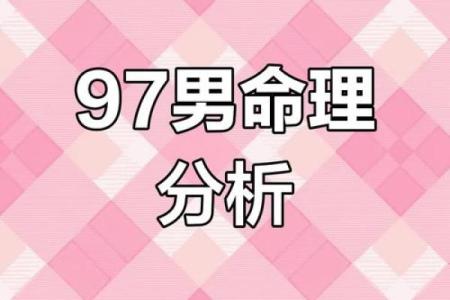 男感情运势全面分析：挑战与机遇并存