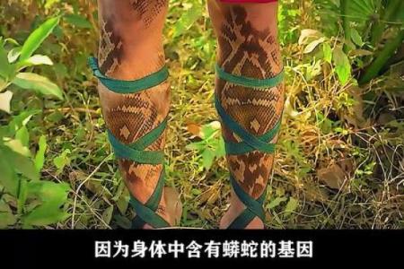 蛇女本命年如何应对突发事件