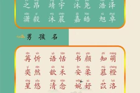 为宝宝起名的最佳选择与流行趋势