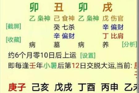彩字命理分析：揭示属什么命的奥秘