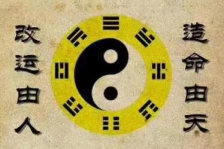 办公室多人患病的风水问题与解决方法解析