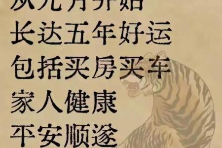 出生的人属虎吗？揭秘生肖真相