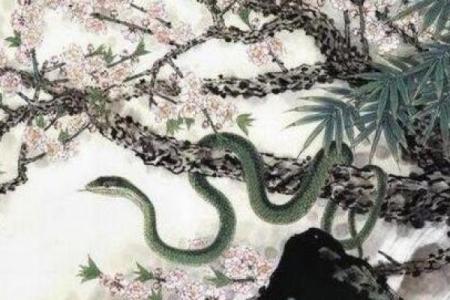 白水命的特点与命理解析