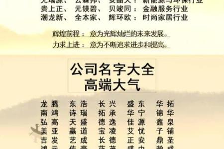 创意十足的电子服务公司命名推荐大全