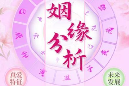 甲子姻缘：如何抓住机会走向幸福的婚姻？