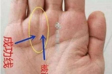 手相和八字，哪个更准？揭秘背后的真相