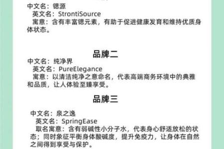 侧分设计与免费公司起名结合，提升品牌辨识度