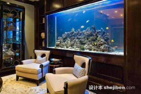 风水专家推荐：定做鱼缸的布局与摆放技巧