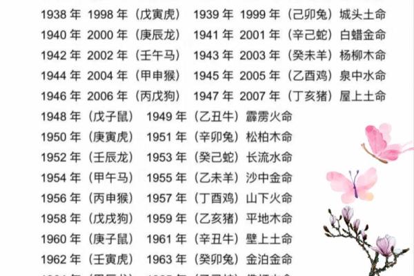 出生属什么命?详细解读 出生属什么命?详细解读