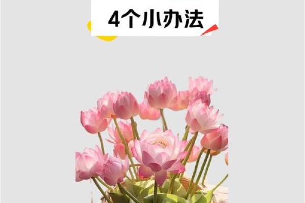 店铺风水摆放指南 招财辟邪的必备法则 店铺风水摆放指南 招财辟邪的必备法则