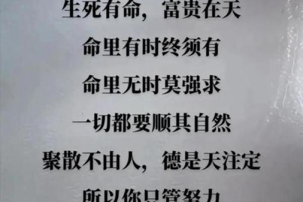 从命是天破看人生的无常 从命是天破看人生的无常