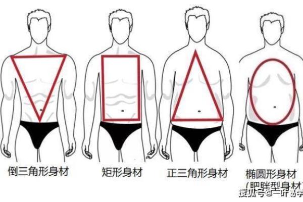 八字分析身材,命运与体型的深层联系 八字分析身材,命运与体型的深层联系