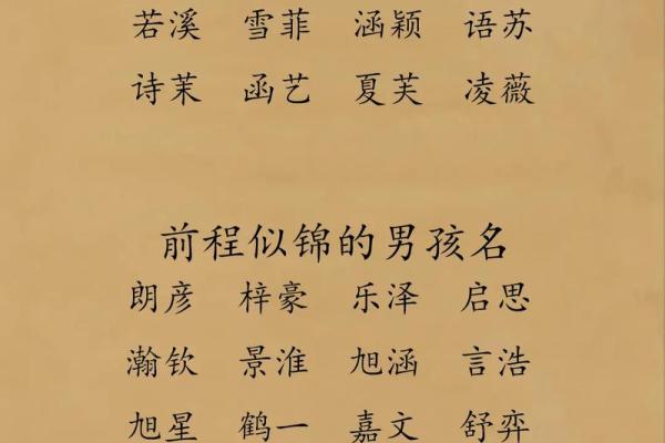 带志字的男孩名字趋势解析