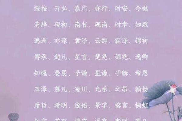 带志字的男孩名字趋势解析