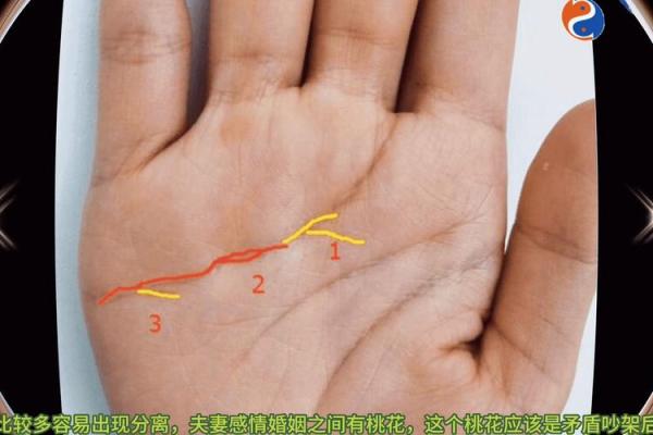 男命双桃花，如何在复杂的感情世界中找到答案