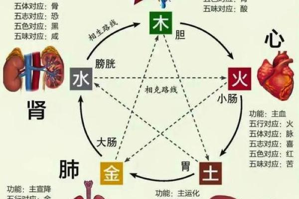 变五行到底属于哪一类?揭秘五行背后的秘密 变五行到底属于哪一类?揭秘五行背后的秘密
