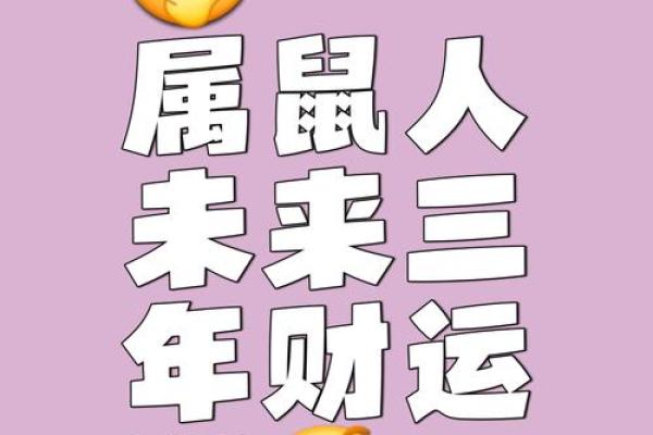 属鼠本命年如何在职场中稳步前行 属鼠本命年如何在职场中稳步前行