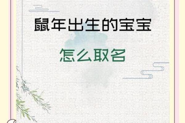 鼠宝宝起名大全精选适合鼠年的名字 鼠宝宝起名大全精选适合鼠年的名字
