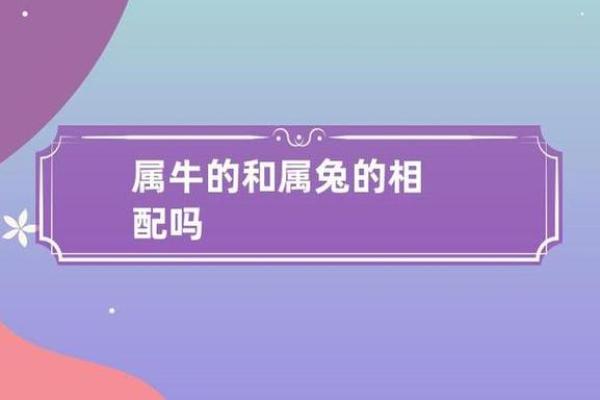 生肖配对:男牛与女兔的相爱之道 生肖配对:男牛与女兔的相爱之道