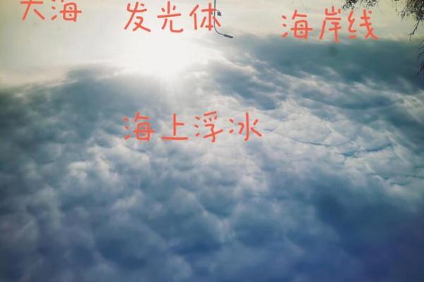 从天空到大地：以天为主题的公司命名趋势