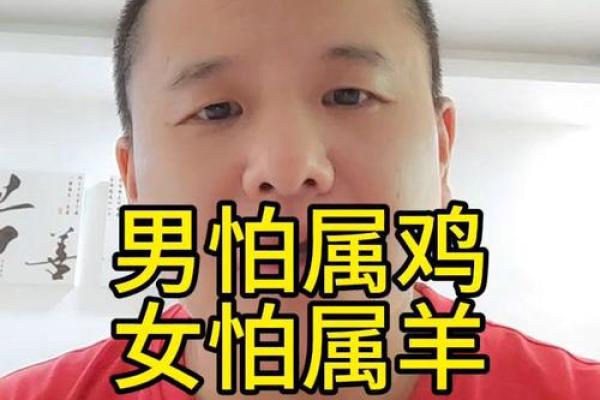 羊女和羊男在感情中的相处之道 羊女和羊男在感情中的相处之道