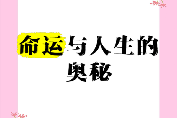 出生的命运与人生轨迹 出生的命运与人生轨迹