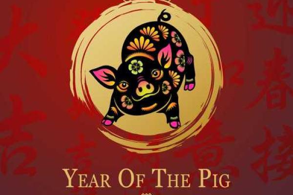 猪年宝宝命名策略：从五行八字看合适名字