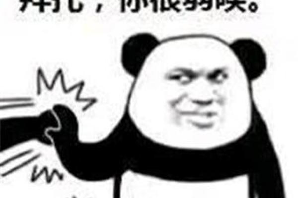 刺激战场名字设计：让你的身份更具魅力
