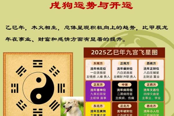 狗蛇配对的优缺点:女性属狗男性属蛇的婚姻运势 狗蛇配对的优缺点:女性属狗男性属蛇的婚姻运势