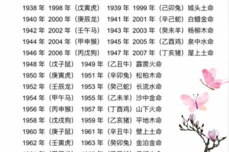 出生属什么命？详细解读