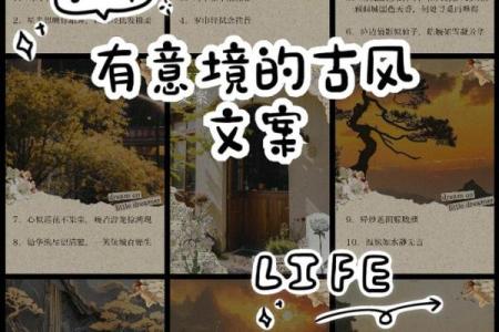 古风诗意命名 帮助企业打造经典品牌形象