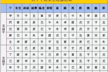 出生的五行属性是什么，揭示你的命运密码