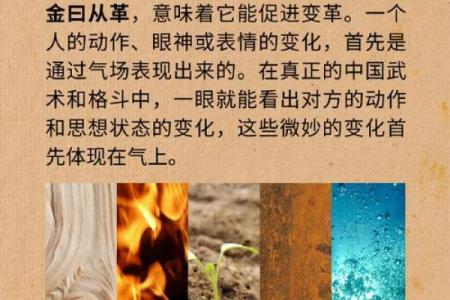 理解倦五行对个人能量的消耗与恢复