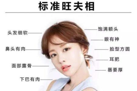 八字分析身材，命运与体型的深层联系