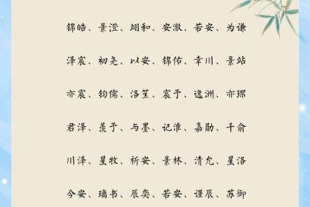充满个性的帅气名字灵感