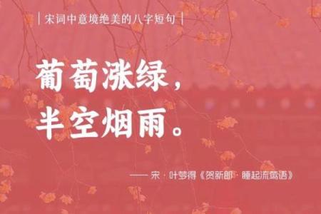 八字古诗的独特魅力：浅谈如何用简短诗句表达深刻情感