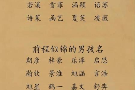 带志字的男孩名字趋势解析