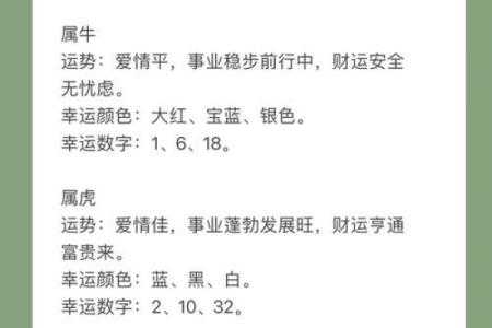 生肖运程解析：今年运势如何波动？