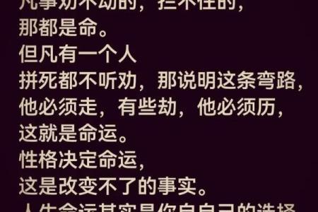从鸡扒命看人生中的命运与选择