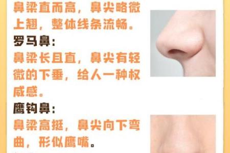 鼻子圆形的命运特点与性格分析