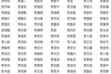 安庆宝宝起名公司推荐排名分析