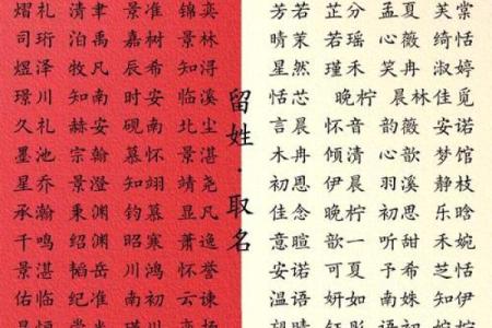 宝宝名字的文化背景与命名方法解析
