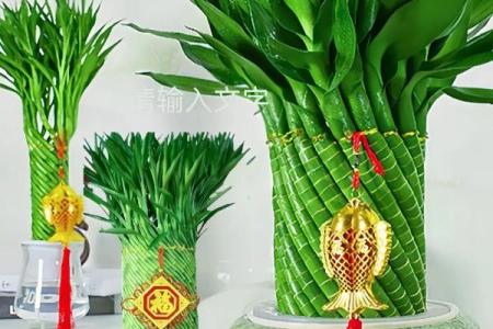 打造旺财家居的秘密武器：招财风水花盆