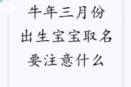 为牛年宝宝起个吉祥名字的五个要点
