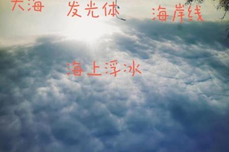 从天空到大地：以天为主题的公司命名趋势