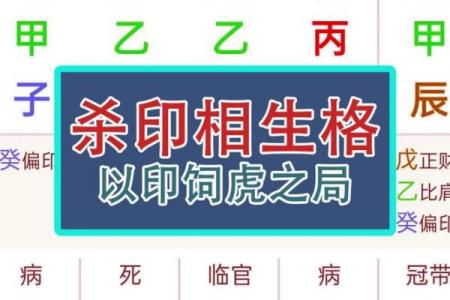 八字独杀：如何利用八字命理破解命运困局