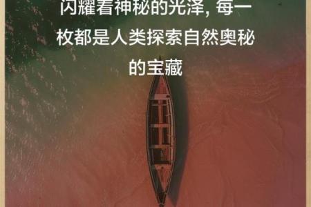 贝字背后的文化寓意与历史探寻