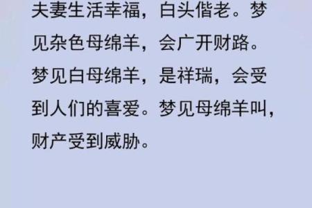 羊女和羊男在感情中的相处之道